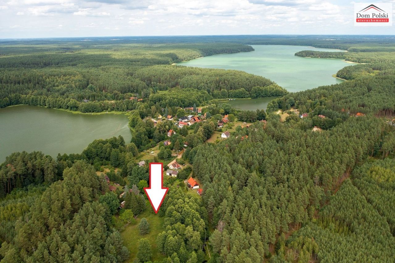 Działka leśna Łajs