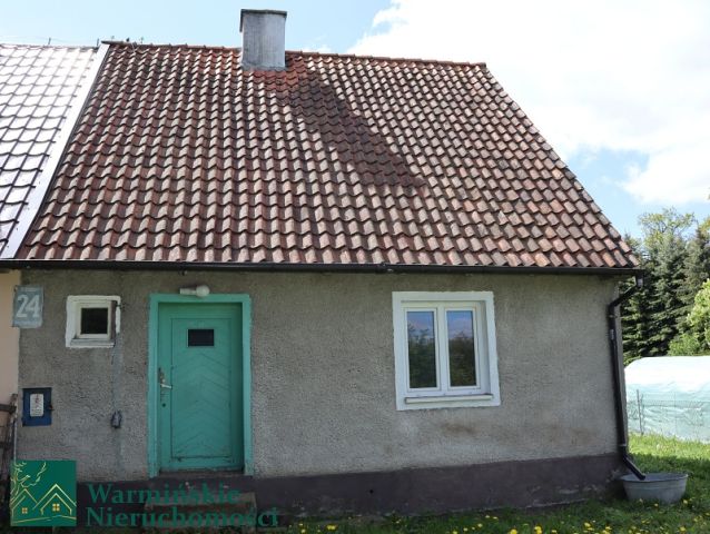 bliźniak Wirwilty. Zdjęcie 1