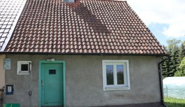 bliźniak Wirwilty