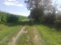 Działka budowlana Orzechów-Kolonia. Zdjęcie 4