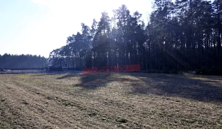 Działka budowlana Schodnia