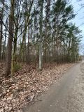 Działka leśna Legionowo, ul. Dębowa. Zdjęcie 2