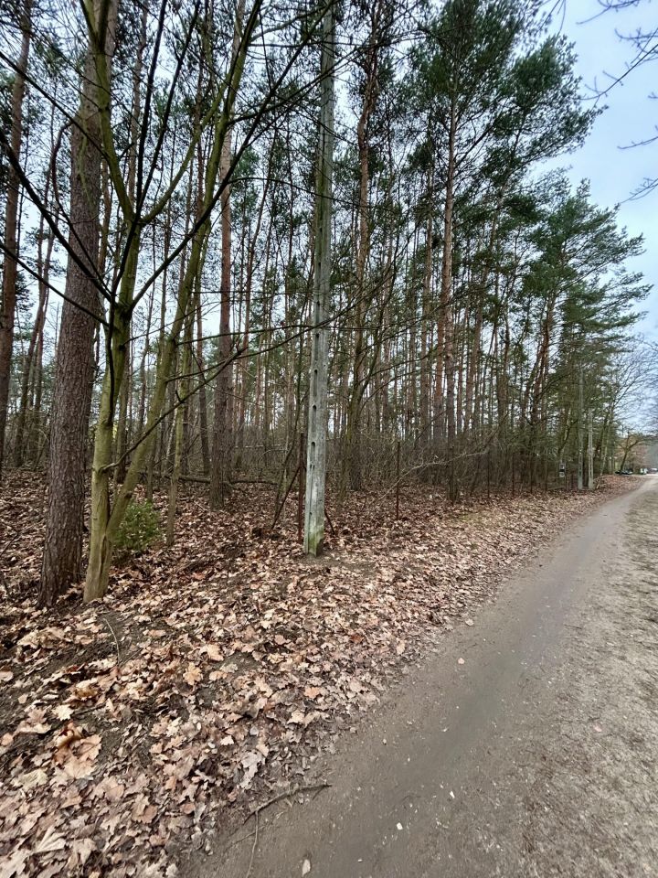 Działka leśna Legionowo, ul. Dębowa. Zdjęcie 3