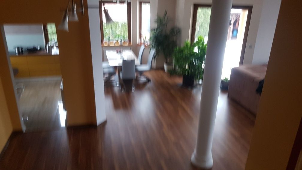 bliźniak Dobroszów Oleśnicki. Zdjęcie 6