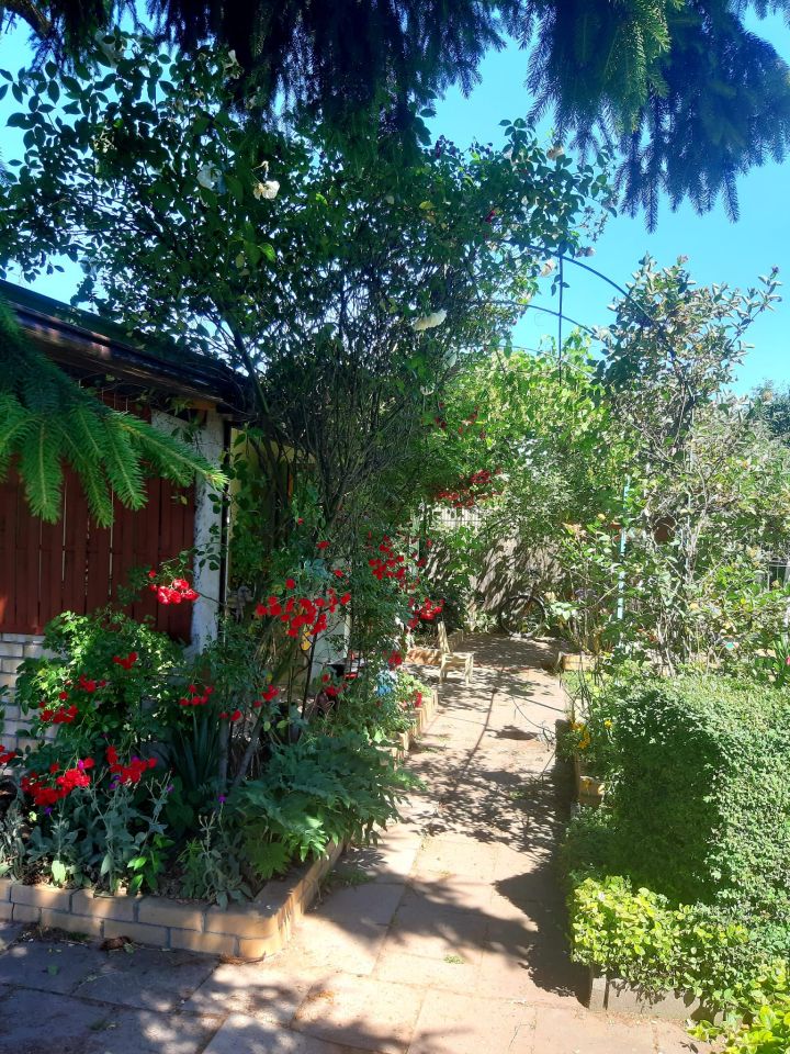 Działka rod Poznań Smochowice, ul. Wichrowa. Zdjęcie 6