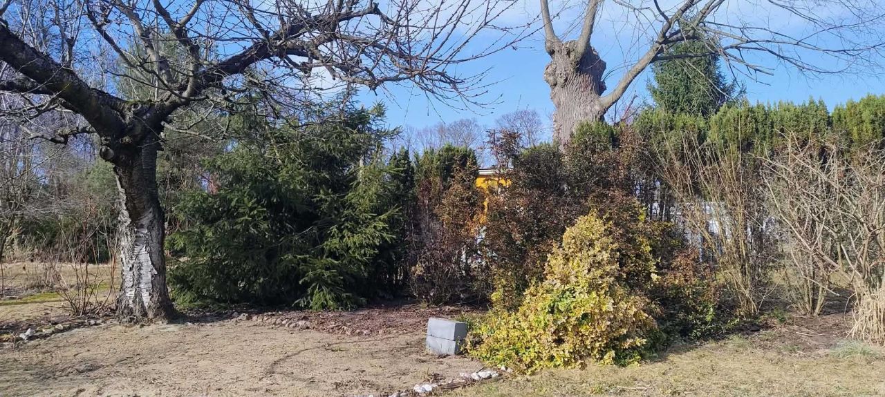 Działka rod Łódź Stoki. Zdjęcie 2