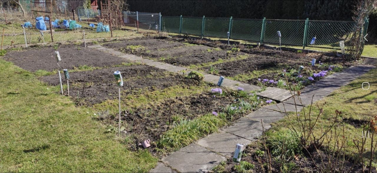 Działka rod Gdynia Cisowa, ul. Hutnicza. Zdjęcie 3