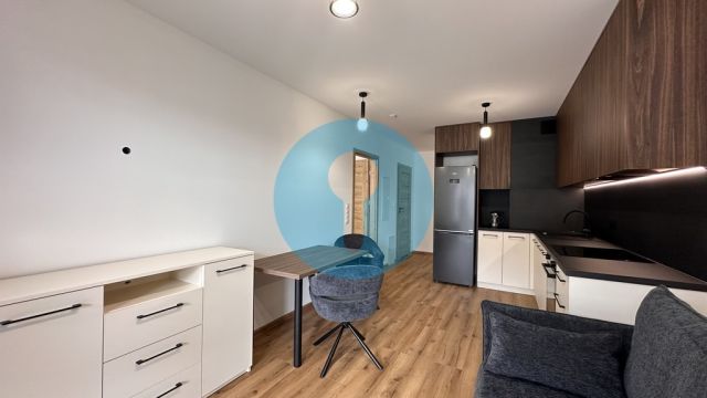 Mieszkanie 1-pokojowe Kielce, ul. Stefana Okrzei. Zdjęcie 4