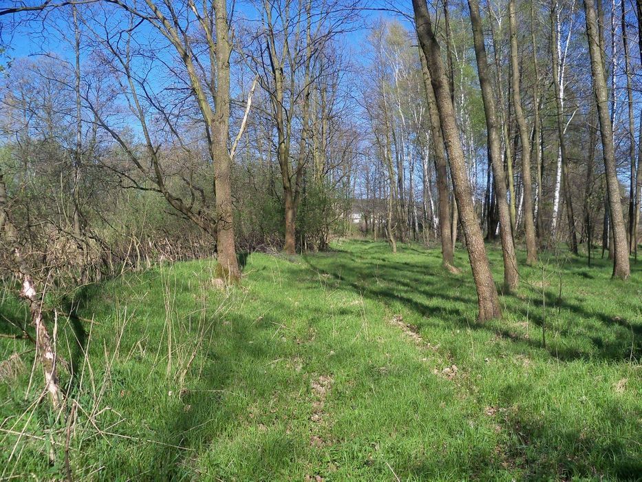 Działka Bogunice. Zdjęcie 3