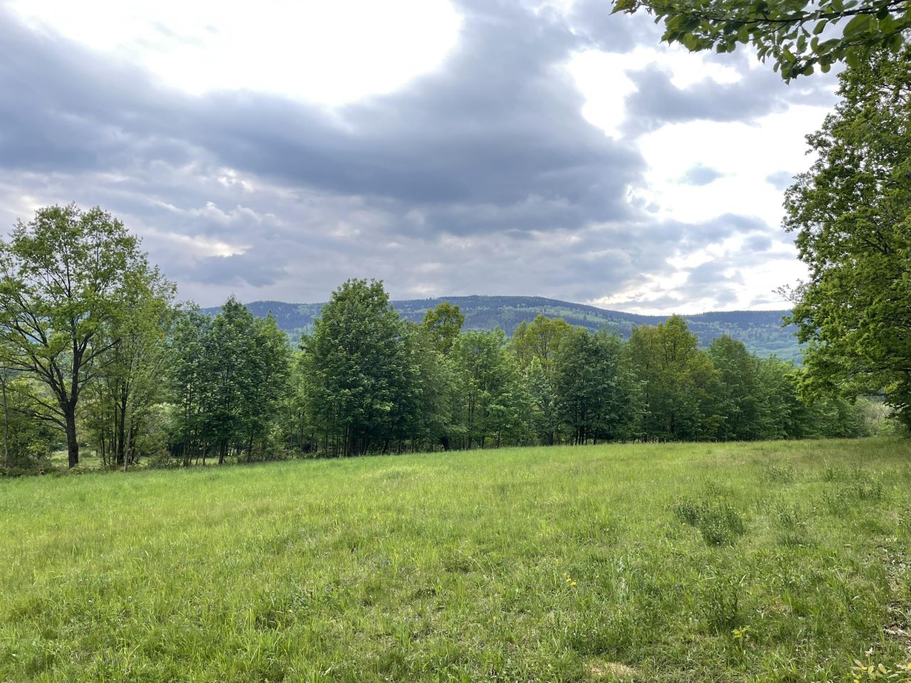 Działka budowlana Starkówek. Zdjęcie 2