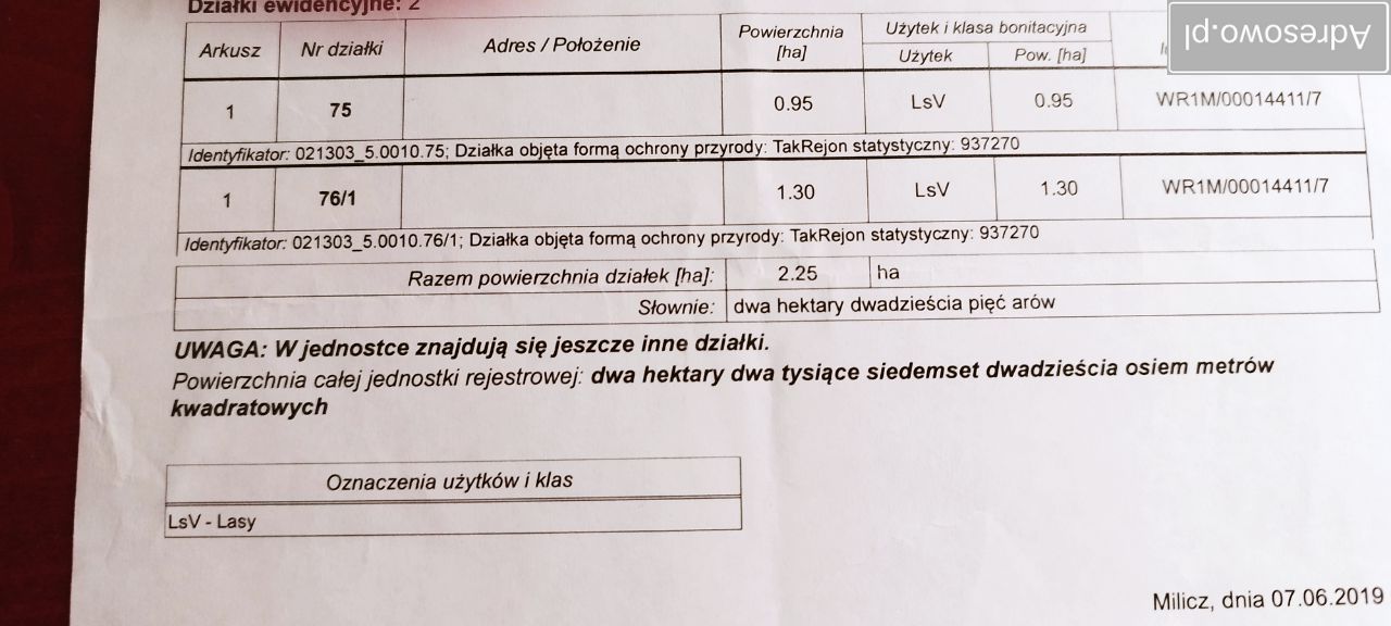 Działka leśna Piękocin. Zdjęcie 2