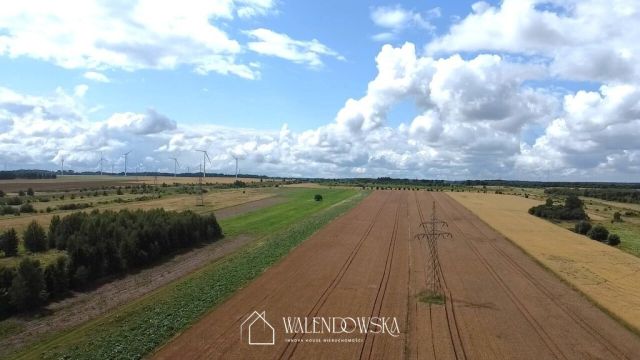 Działka inwestycyjna Kobylnica. Zdjęcie 3