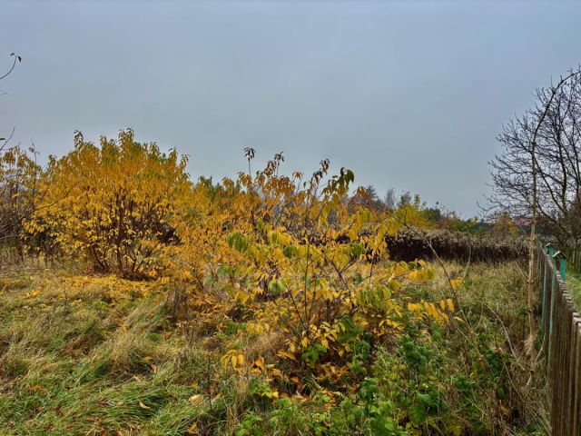 Działka inwestycyjna Drewnica, ul. Kasztanowa. Zdjęcie 4