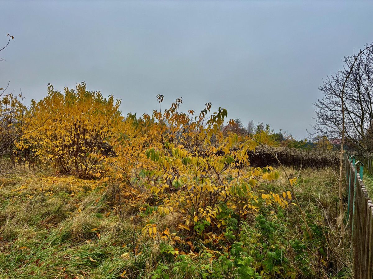 Działka inwestycyjna Drewnica, ul. Kasztanowa. Zdjęcie 4