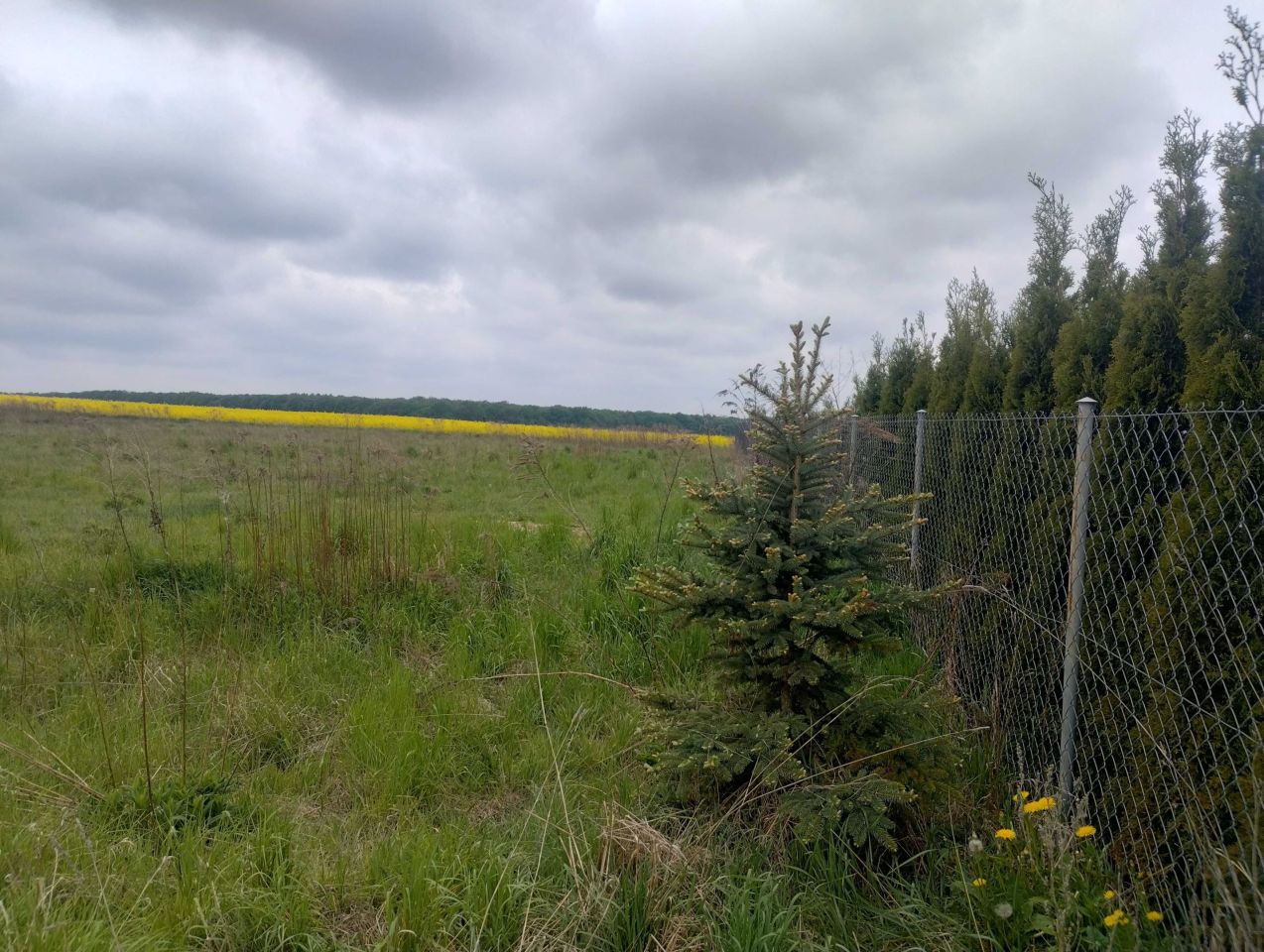 Działka budowlana Łuszczów Drugi. Zdjęcie 3