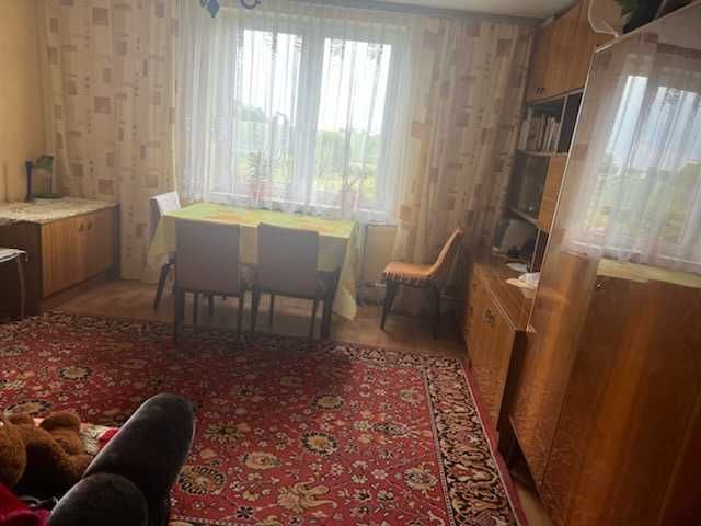 gospodarstwo Kołacinek. Zdjęcie 6