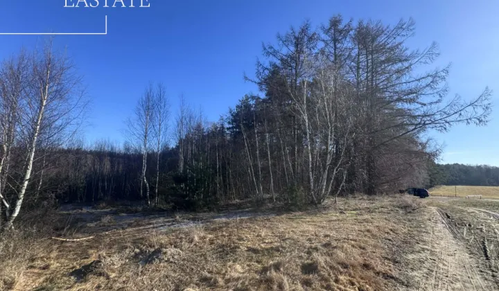 Działka inwestycyjna Pierwoszyno, ul. Jabłoniowa