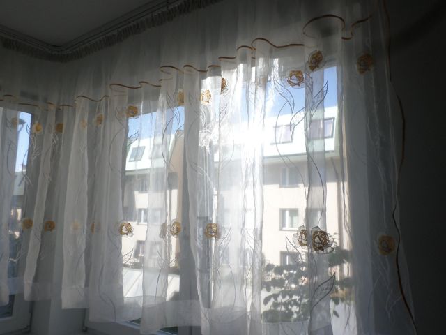 Mieszkanie 1-pokojowe Kraków Salwator, ul. Królowej Jadwigi. Zdjęcie 1