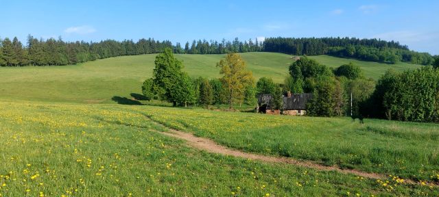 Działka rolno-budowlana Dworki. Zdjęcie 4