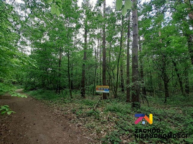 Działka budowlana Zielona Góra Stary Kisielin. Zdjęcie 3