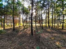 Działka inwestycyjna Sulejówek, ul. Świętojańska. Zdjęcie 4