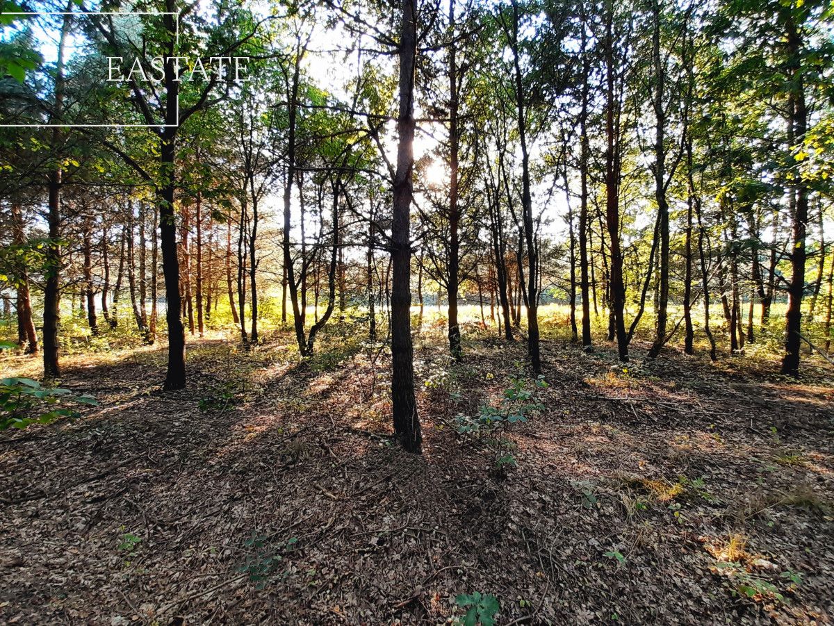 Działka inwestycyjna Sulejówek, ul. Świętojańska. Zdjęcie 6