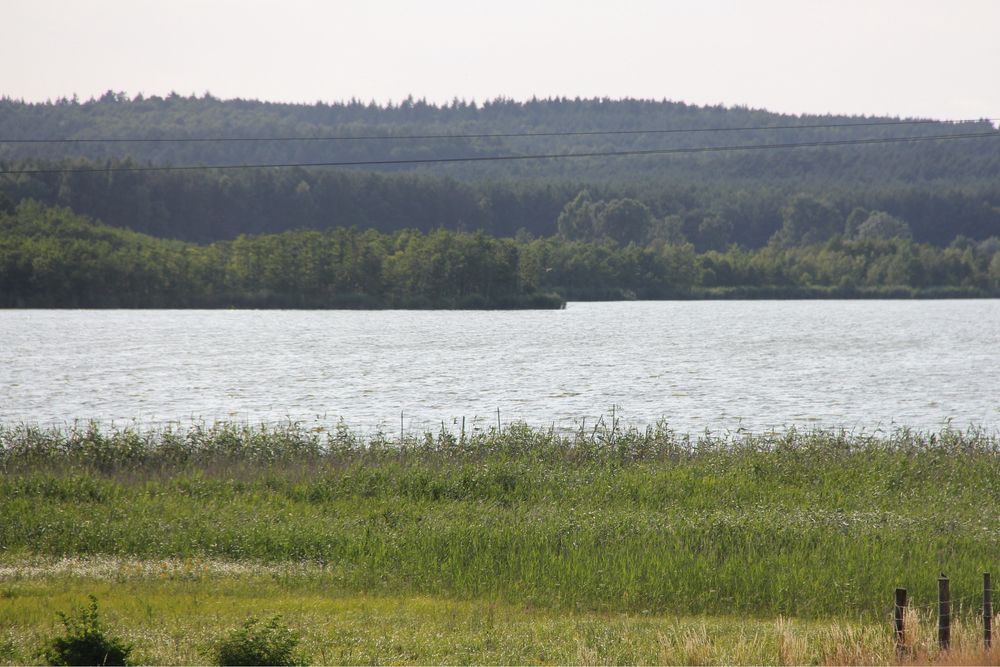 Działka inwestycyjna Rekowo. Zdjęcie 1