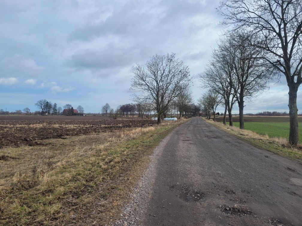 Działka rekreacyjna Chorążówka. Zdjęcie 3