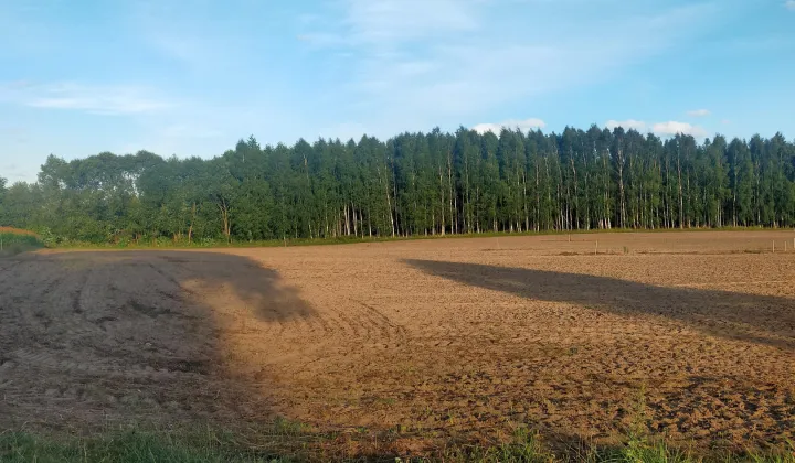 Działka budowlana Branica Za Lasem