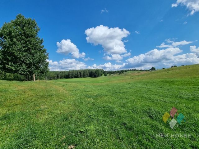 Działka siedliskowa Bartołty Wielkie. Zdjęcie 12