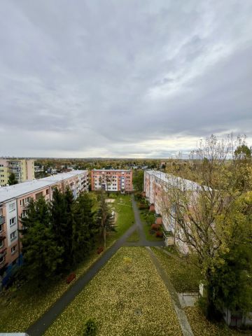 Mieszkanie 2-pokojowe Łódź Retkinia, ul. Przełajowa. Zdjęcie 13