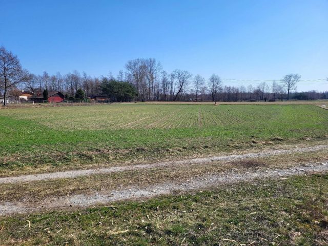 Działka rolno-budowlana Smęgorzów. Zdjęcie 1