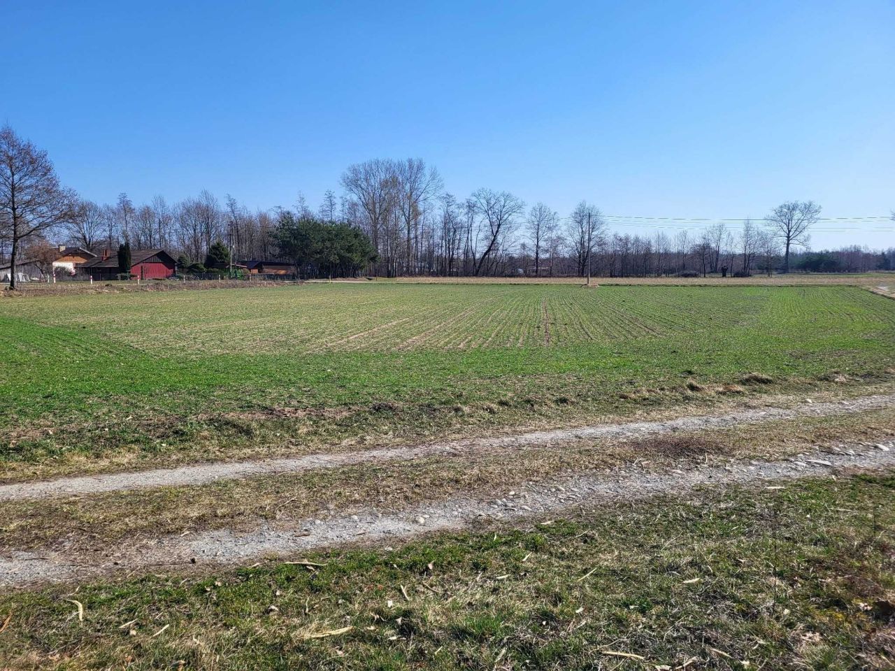 Działka rolno-budowlana Smęgorzów. Zdjęcie 1