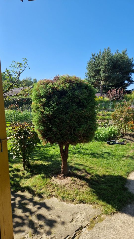 Działka rod Lublin. Zdjęcie 6