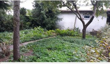 Działka rod Bydgoszcz Osiedle Leśne, ul. Bydgoskiego Batalionu Obrony Narodowej