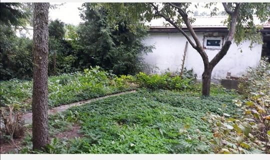 Działka rod Bydgoszcz Osiedle Leśne, ul. Bydgoskiego Batalionu Obrony Narodowej