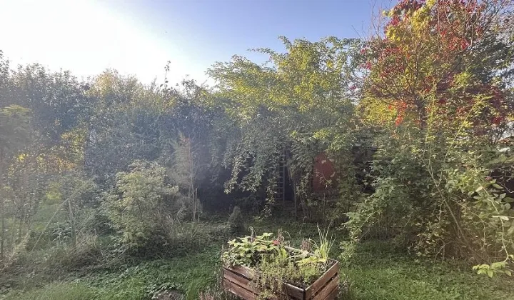 Działka rekreacyjna Jaroszowice Zbywaczówka