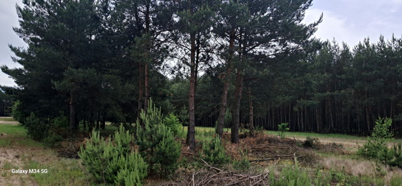 Działka rolna Podmieście. Zdjęcie 2