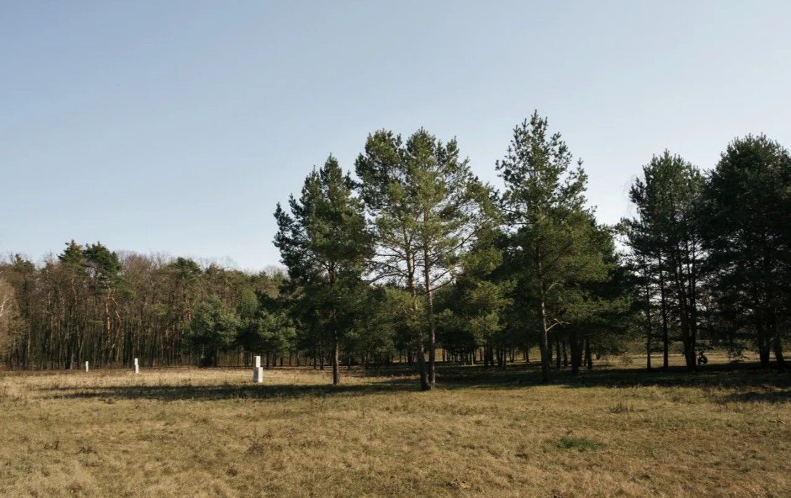 Działka budowlana Rajszew, ul. Mazowiecka. Zdjęcie 2