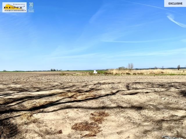 Działka budowlana Trzebusz. Zdjęcie 5