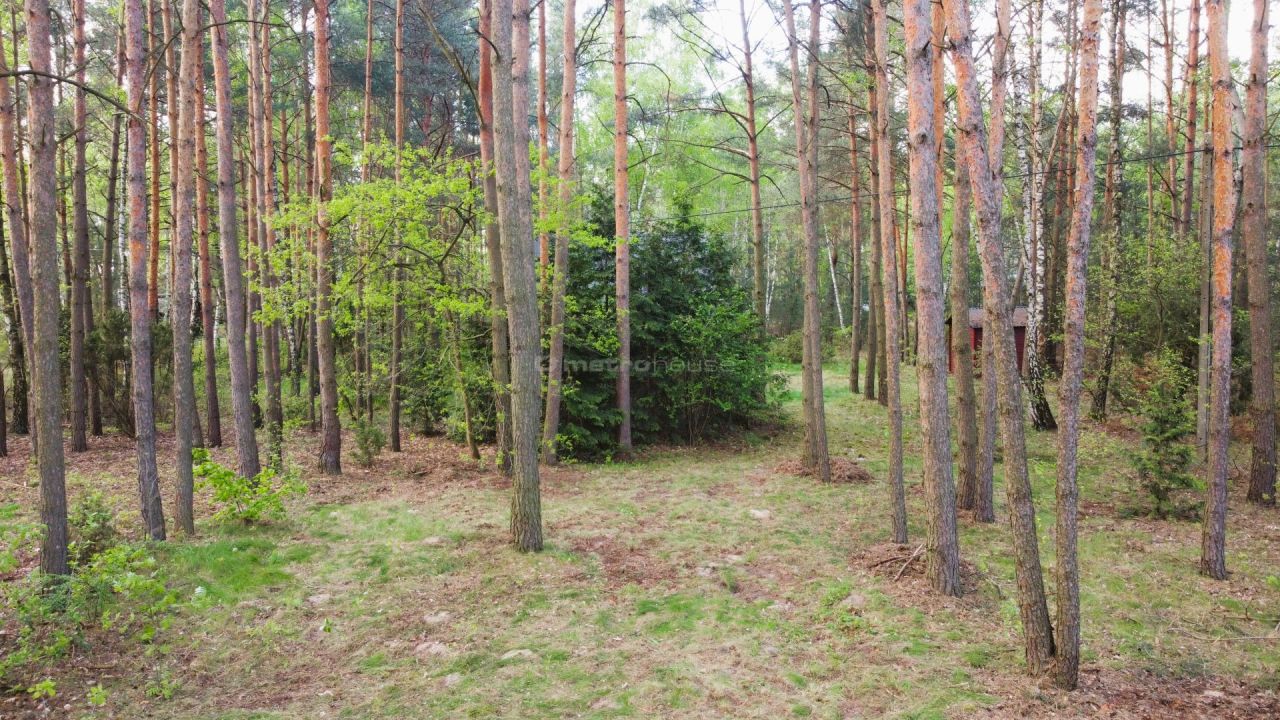 dom wolnostojący, 3 pokoje Cisie. Zdjęcie 4