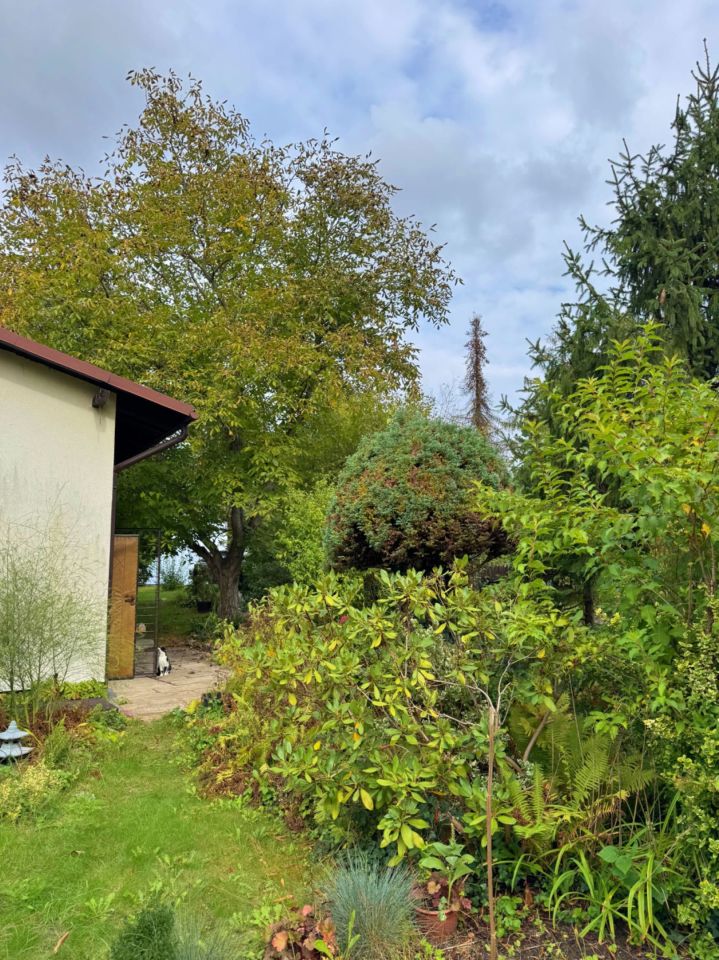 dom letniskowy Komprachcice. Zdjęcie 7