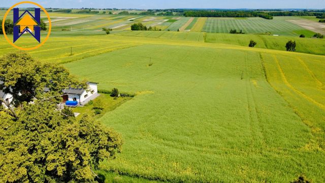 Działka rolno-budowlana Czaple Wielkie. Zdjęcie 1