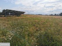 dom wolnostojący, 3 pokoje Kochanów. Zdjęcie 4