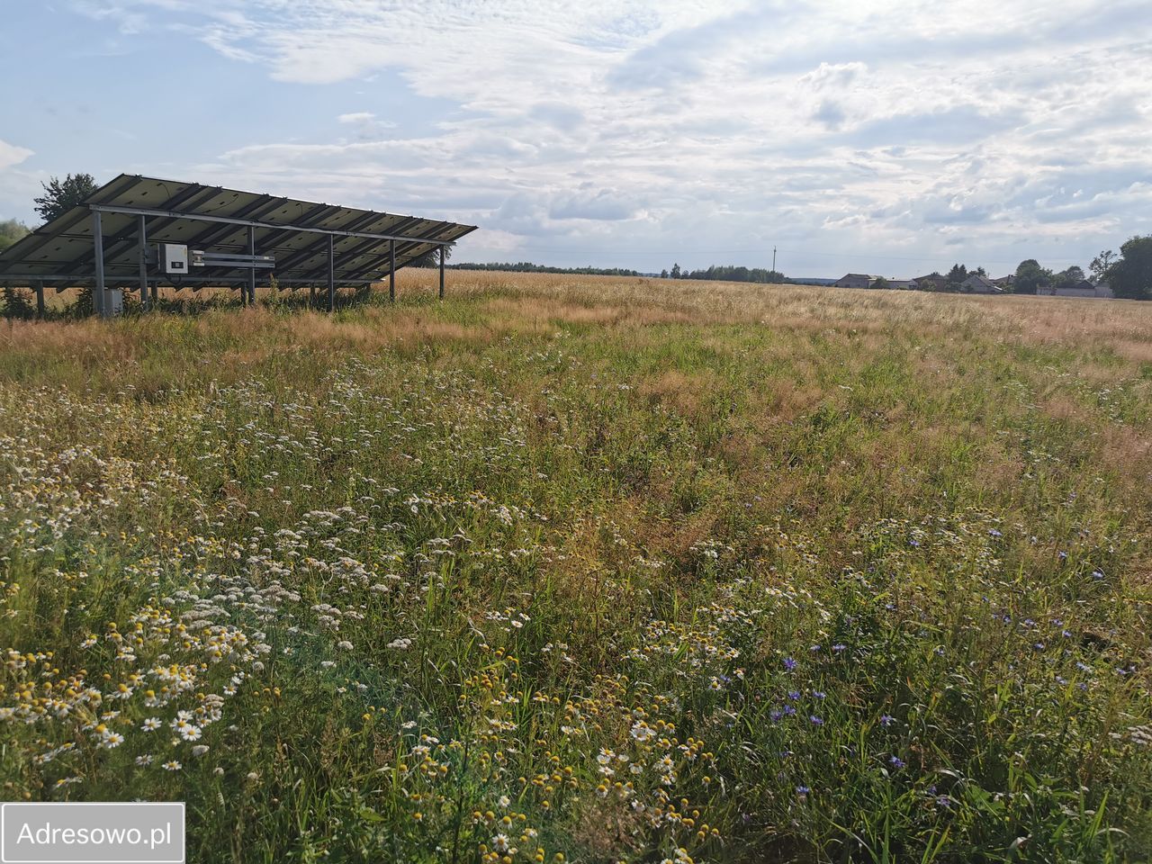 dom wolnostojący, 3 pokoje Kochanów. Zdjęcie 5