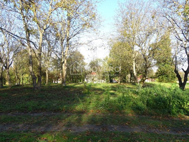 Działka budowlana Pełkinie. Zdjęcie 4