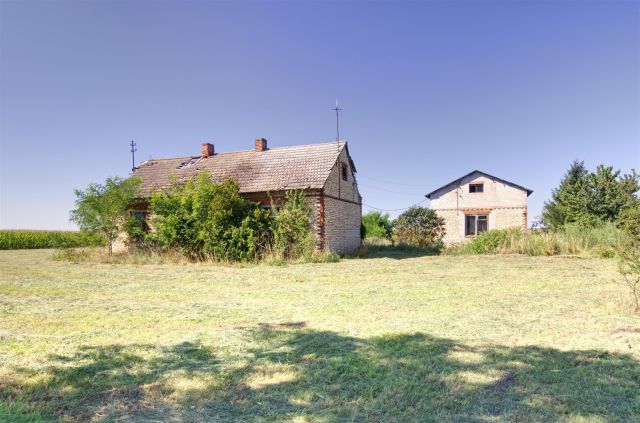 Działka rolno-budowlana Pruszki. Zdjęcie 6
