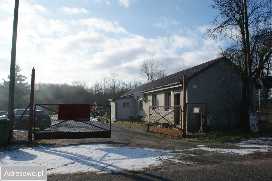 Działka inwestycyjna Rynarcice. Zdjęcie 4