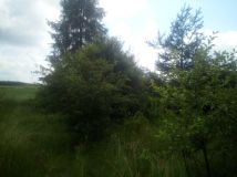 dom wolnostojący Ćmielów. Zdjęcie 3