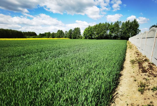 Działka budowlana Nowa Wieś Kącka, Letnia. Zdjęcie 1
